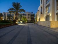 an empty courtyard with steps leading to apartments and palm trees, at dusk, in the city of doha