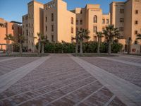 Egypt Residential Area at Dawn with Palm Trees