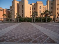 Egypt Residential Area at Dawn with Palm Trees