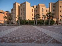 Egypt Residential Area at Dawn with Palm Trees