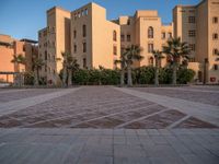 Egypt Residential Area at Dawn with Palm Trees