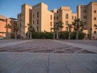 Egypt Residential Area at Dawn with Palm Trees