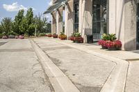 several flower pots sit in front of this very elegant building on the sidewalk outside the window