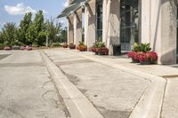 several flower pots sit in front of this very elegant building on the sidewalk outside the window