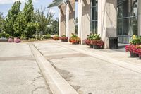 several flower pots sit in front of this very elegant building on the sidewalk outside the window