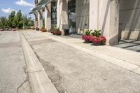 several flower pots sit in front of this very elegant building on the sidewalk outside the window