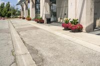 several flower pots sit in front of this very elegant building on the sidewalk outside the window