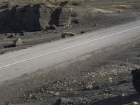 Elevated Asphalt Road in Iceland Coastal Landscape 003