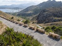 Elevated Coastal Landscape in Mallorca, Spain