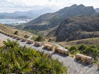 Elevated Coastal Landscape in Mallorca, Spain