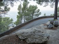 a curved road in the mountains at dusk near trees and a cliff and ocean in the distance