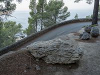 a curved road in the mountains at dusk near trees and a cliff and ocean in the distance