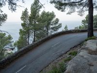 a curved road in the mountains at dusk near trees and a cliff and ocean in the distance