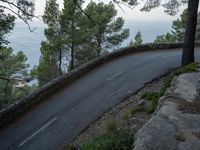 a curved road in the mountains at dusk near trees and a cliff and ocean in the distance