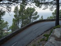 a curved road in the mountains at dusk near trees and a cliff and ocean in the distance