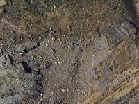 Elevated Coastline of Portugal: A Top-Down View