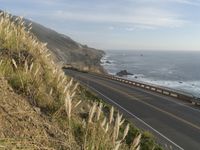 Elevated Concrete Bridge on Pacific Coast Highway