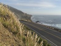 Elevated Concrete Bridge on Pacific Coast Highway