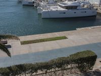 a yacht docked at a pier with other boats near it and several palm trees in the foreground