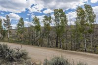 Elevated Dirt Road in Forest Landscape 002