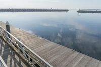 a dock has a walkway leading into the water below it, and many birds are standing on it