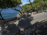 a paved road by the beach with pine trees and a large body of water in the background