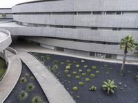 a concrete building with a palm tree and other plants next to it and a walkway