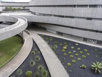 a concrete building with a palm tree and other plants next to it and a walkway