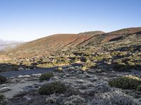 the road is surrounded by scrubgy scrubs and plants near a mountaintop area