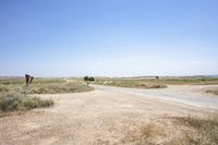 an empty open lot in a rural part of the world in the desert with two rusty road signs