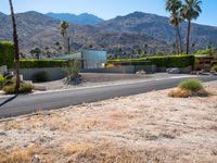 Elevated Modern Architecture in Palm Springs, California