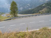 a motorcycle on a mountain road next to a tall pine tree and mountains in the background