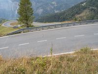 a motorcycle on a mountain road next to a tall pine tree and mountains in the background