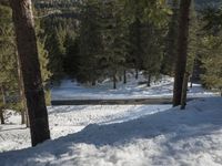 a person walking up a snow covered road next to a forest in the mountains while a man is snowboarding