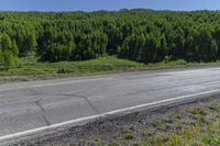 Elevated Road: Asphalt through Forest in the USA