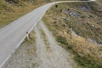 a person is standing on the side of a road and an animal that is eating