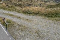 a person is standing on the side of a road and an animal that is eating