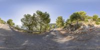 a view from the bottom of a street while looking up at a curve of gravel and trees