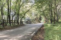 Elevated Road in Montseny Park, Barcelona