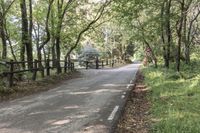 Elevated Road in Montseny Park, Barcelona 002