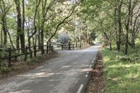 Elevated Road in Montseny Park Barcelona 003