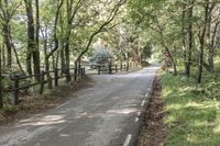 Elevated Road in Montseny Park, Barcelona (004)