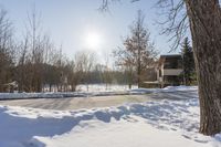 a snowy road and a snowmobile is in the distance behind trees and the house