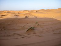 Elevated Road in the Sahara Desert, Morocco