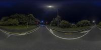 an empty road with traffic lights lit by streetlights at night with trees and shrubs