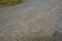 the view from above of a street with dirt on it and small shrubs in the background