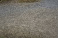 the view from above of a street with dirt on it and small shrubs in the background