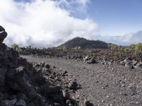 a rocky area that looks like lava in a mountain in the distance is a forested forest