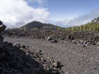 a rocky area that looks like lava in a mountain in the distance is a forested forest