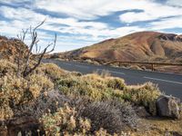 Elevated Road in Tenerife: Enjoy the Mountain View